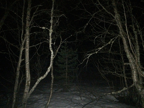 Olaringarhaugen er inni her et sted...