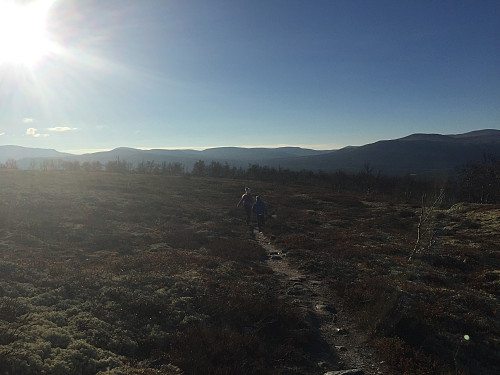To fine turkompiser på retur