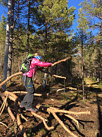 karibien_20170329_58dc221669ff3.jpg