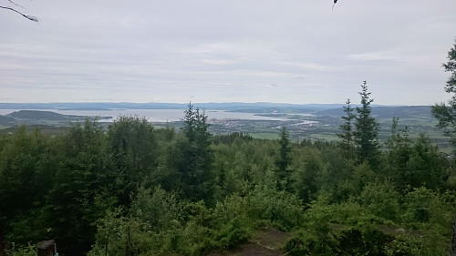 Mye skog i Verdalen..