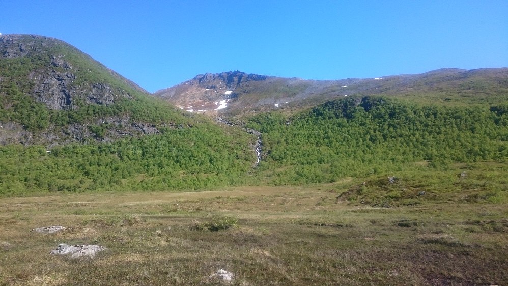 Myr er myr og myr er kjedelig. Mye bedre å følge stien opp langs venstresiden av elva i midten av bildet.