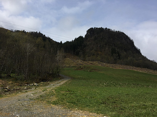 Parkeringsplass og stien videre. Skogsvegen deler seg og gå da til høyre og følg stien ca 10 meter derfra.