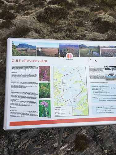 Masse info om Gulmyrene
