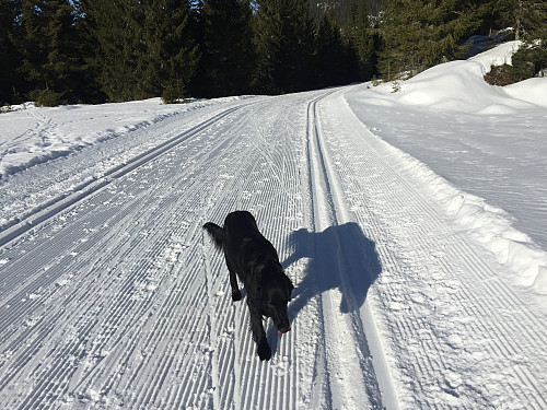Kimi er glad i skiturer