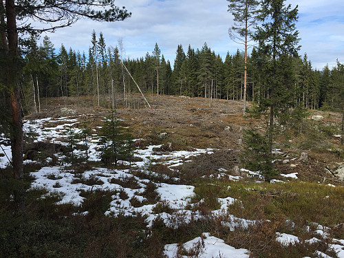 Toppunktet et eller annet sted her.