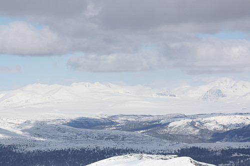 Rondane fra Kviknegråhø