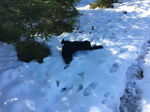 Kimi synes det er stas med så mye snø såpass tidlig.