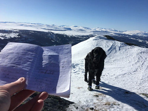 Boka hvor jeg fant notatet fra sommerturen for noen år siden.