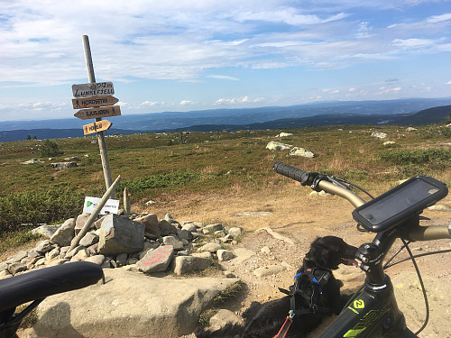 Lunkefjell