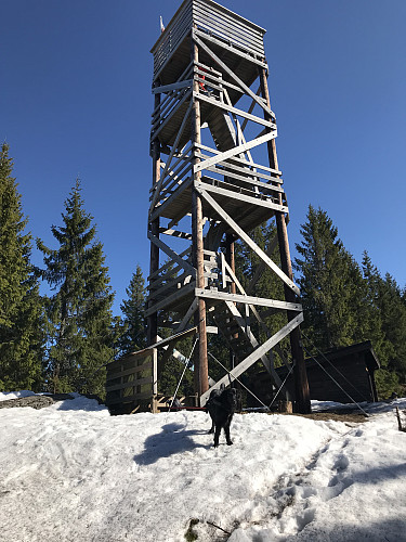 Tårnet