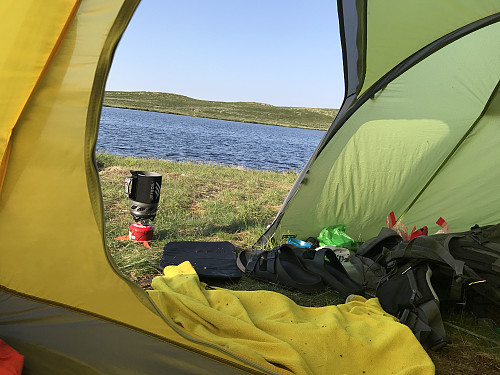 Morgenskue fra teltet til Kimi og meg