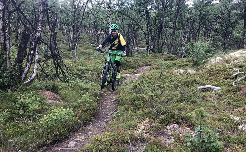 Fin sti oppover mot toppen fra sydøst