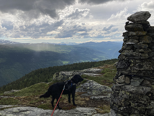 På Veslfjellet 1063 med utsikt over til Nautgardstinden og Glittertinden.