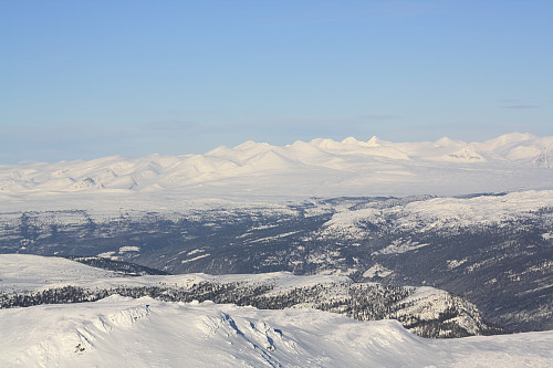 Rondane