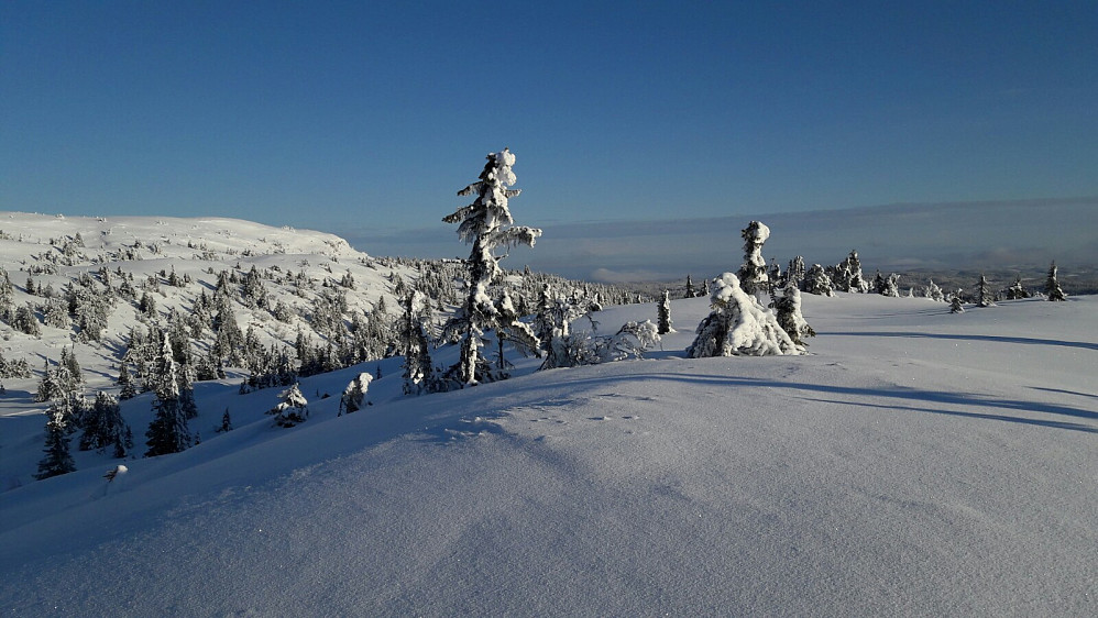 Gaustumseterfjellet sør