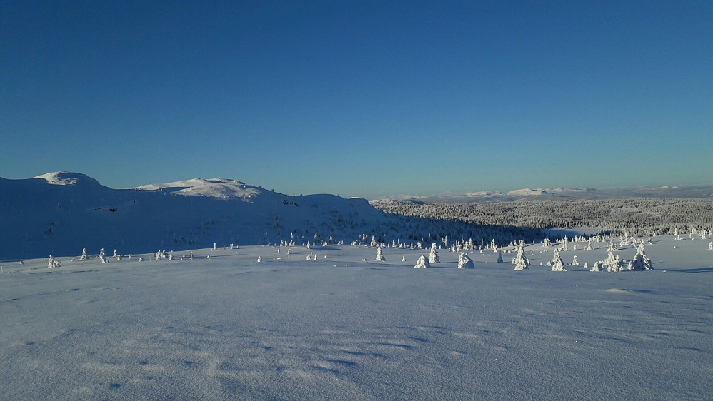 Utsikt fra Flugstadfjellet
