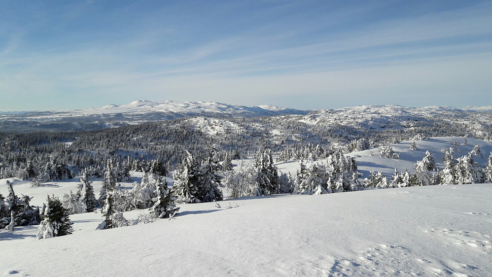 Utsikt fra Gaustumseterfjellet nord