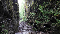 KristineL_20170616_59441f67e49ff.jpg