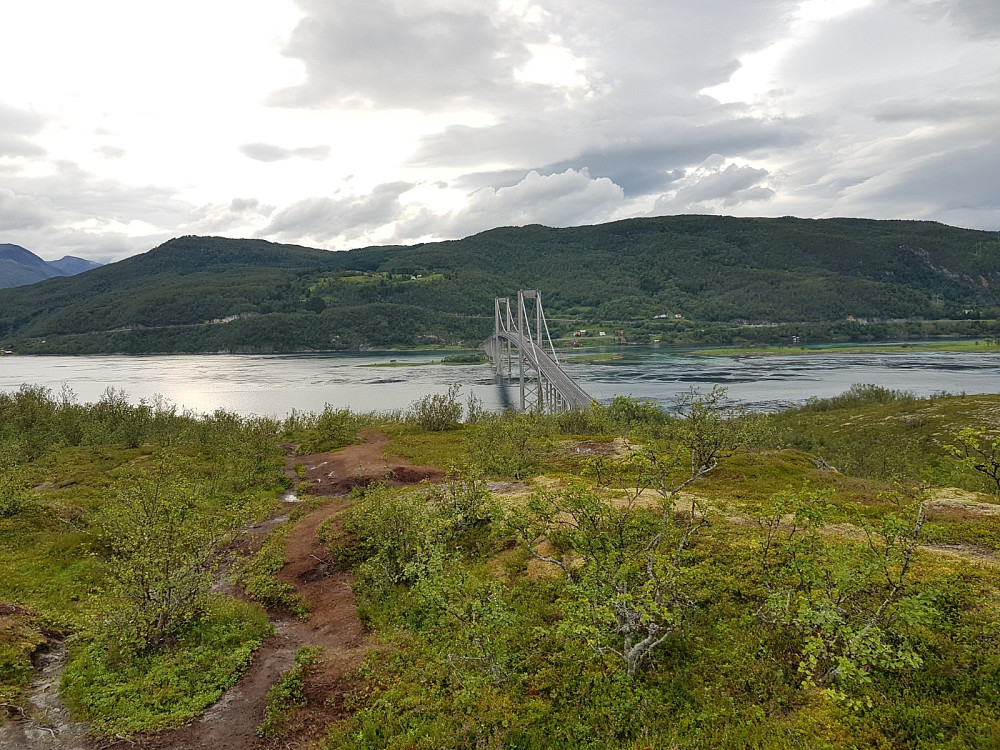 Tjeldsundbrua