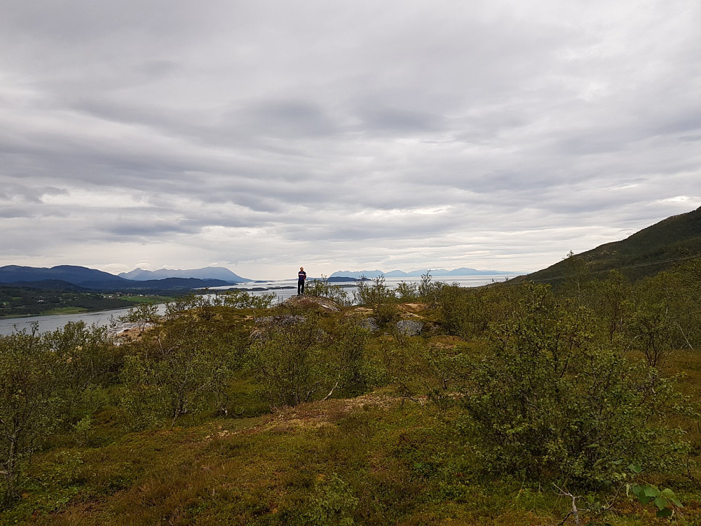 Middagshaugen