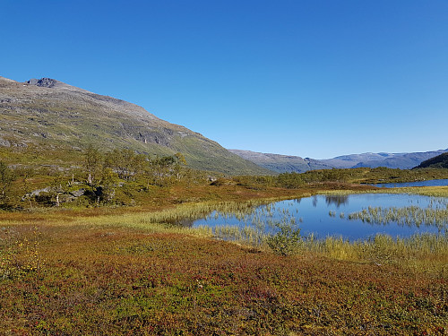 Flotte omgivelser