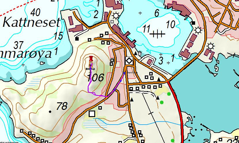 Turen vi gikk opp til Sommarøytoppen - 24 min - 1,3 km - 77 høydemeter
