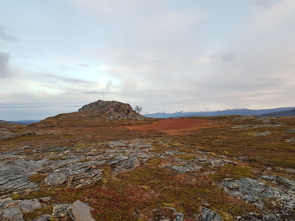 Stokkåsen