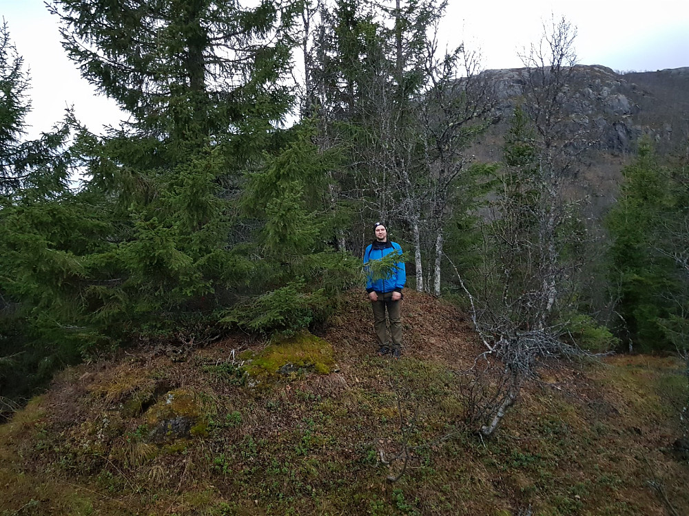 Første topp