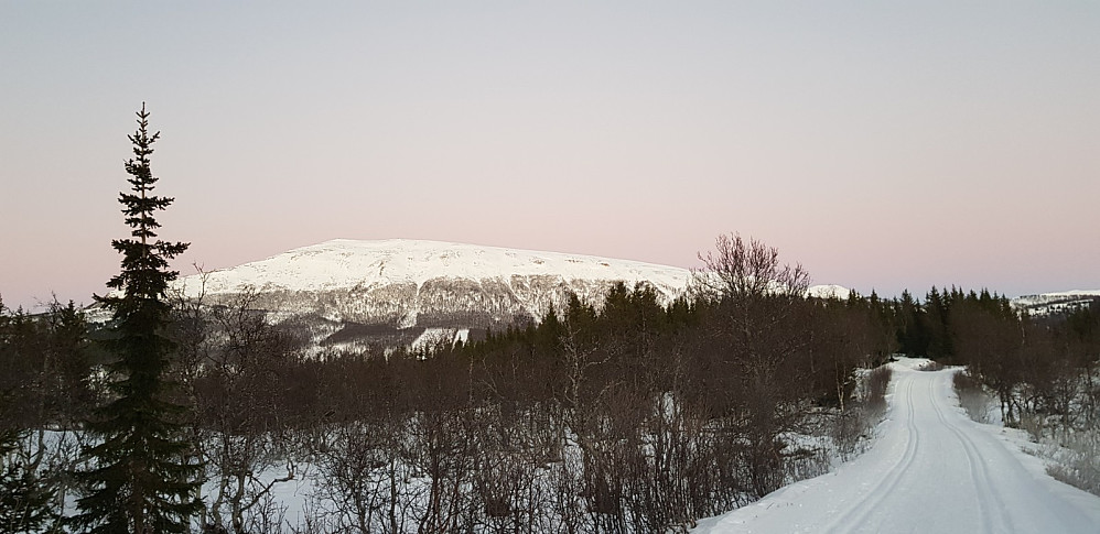 Rødmålheia