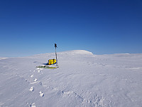 KristineL_20190406_5ca8d1a04723f.jpg