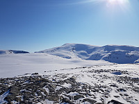 KristineL_20190406_5ca8d1a5de359.jpg