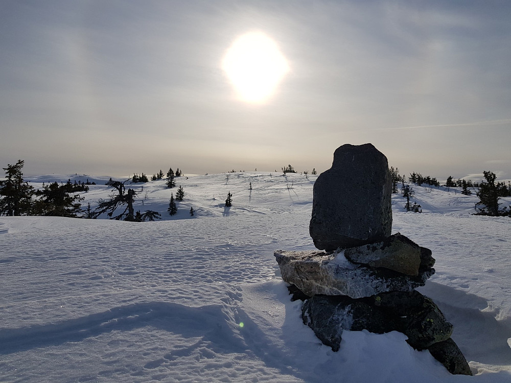 Blesterråkvarden