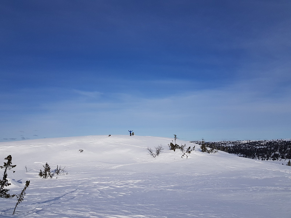 Hans Thorvald på Torpevassfjellet