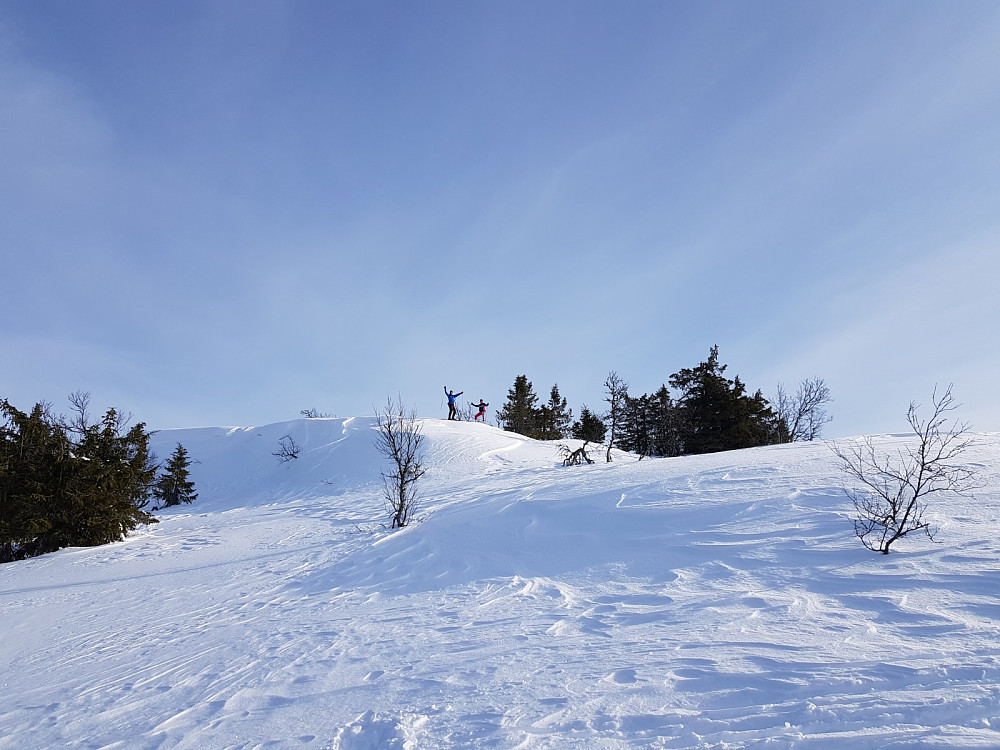 Blesterråkvarden