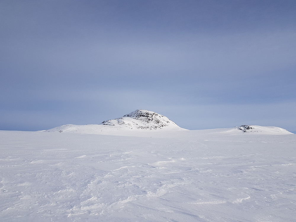 Vardhovdtinden