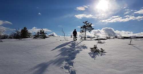 På vei til Busufjellet