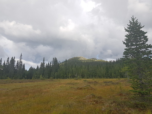 Store Byringen