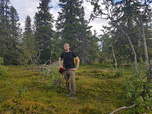 Høgåsen Nord