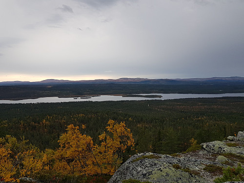 Utsikt fra Kvennvikhøgda