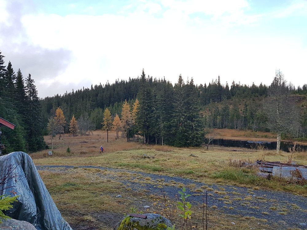 På vei til Høgknøsen