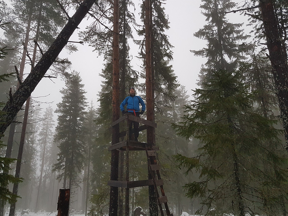 På Bjørnåsen