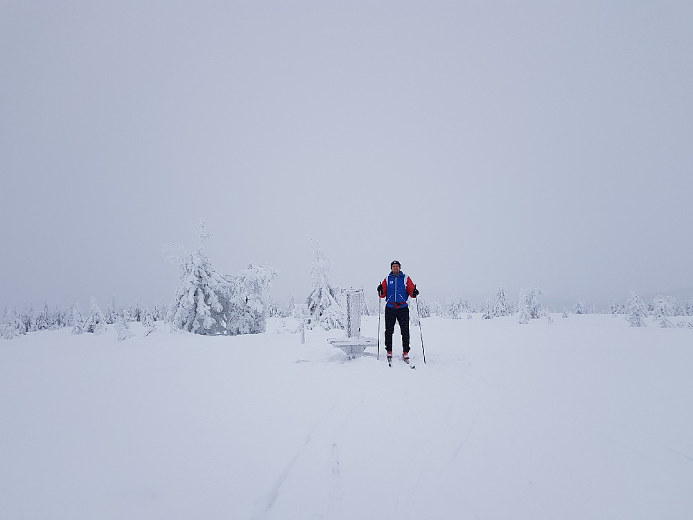 På Svaen