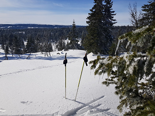 På toppen av Fjellbekkhaugen