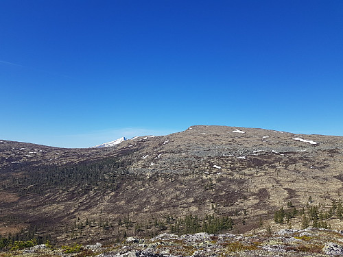 Utsikt mot Sølen og Bårn fra Rokampen