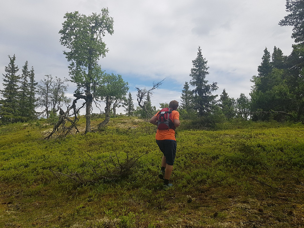 På vei til Åborsjøkampen