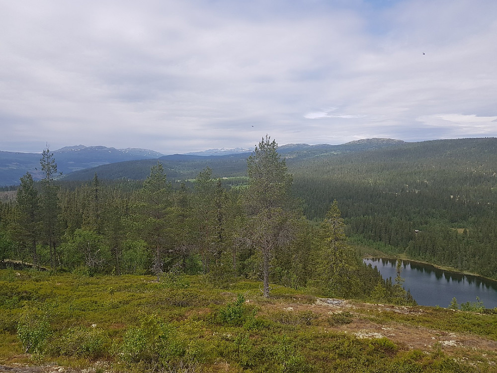 Utsikt fra Åborsjøkampen