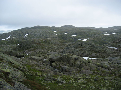 Akk, så kjedelig natur.
