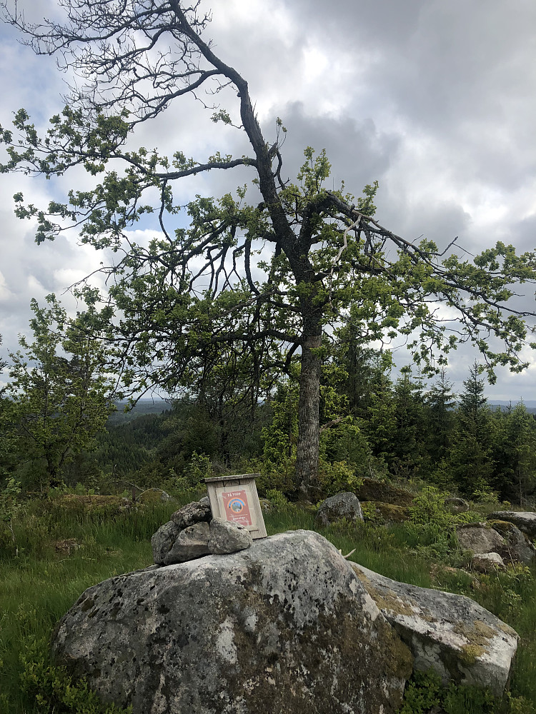 Toppen til Songdalen