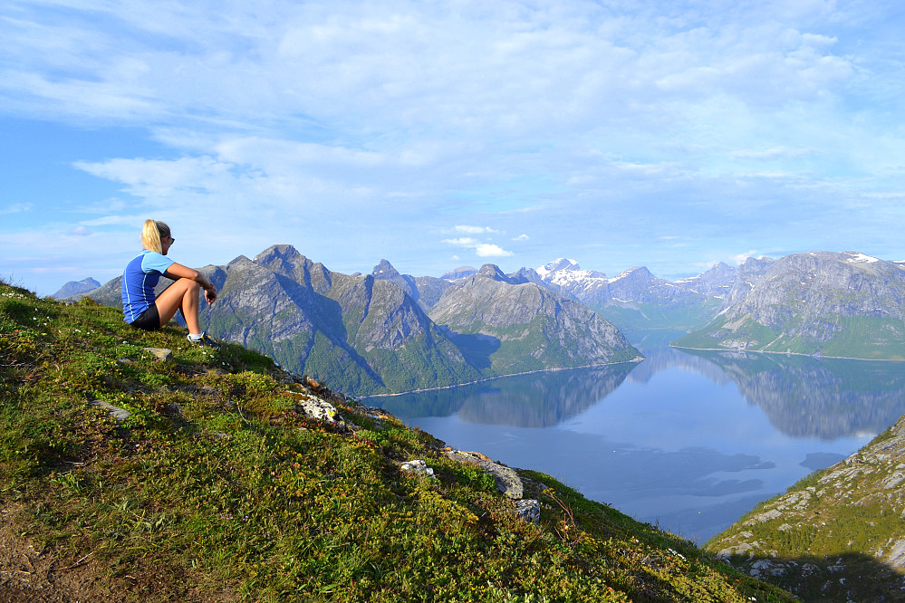 En helt nydelig utsikt utover Mistfjorden venter når man kommer opp.