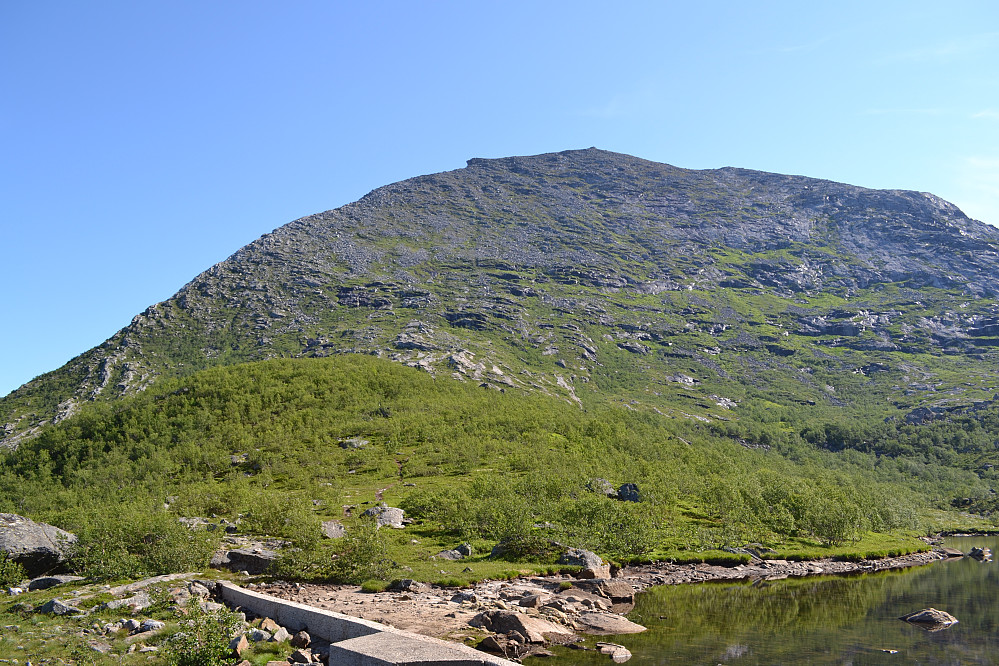 Da vi så opp mot toppen tenkte jeg "piece of cake, vi er oppe om under en time", men det ble vel nærmere to.. Det skyldes nok at vi ikke fant stien da vi kom til foten av fjellet, så vi holdt altfor langt ut mot venstre og gikk i steinura hele veien.